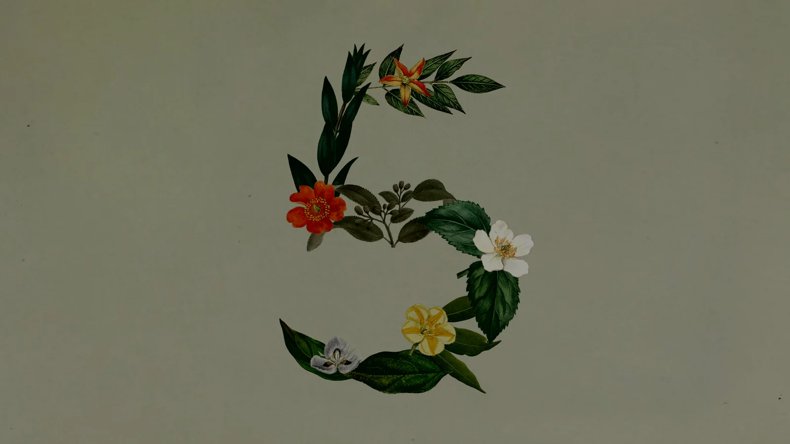 Floral number five artwork used for the Claude Sonnet 5 launch